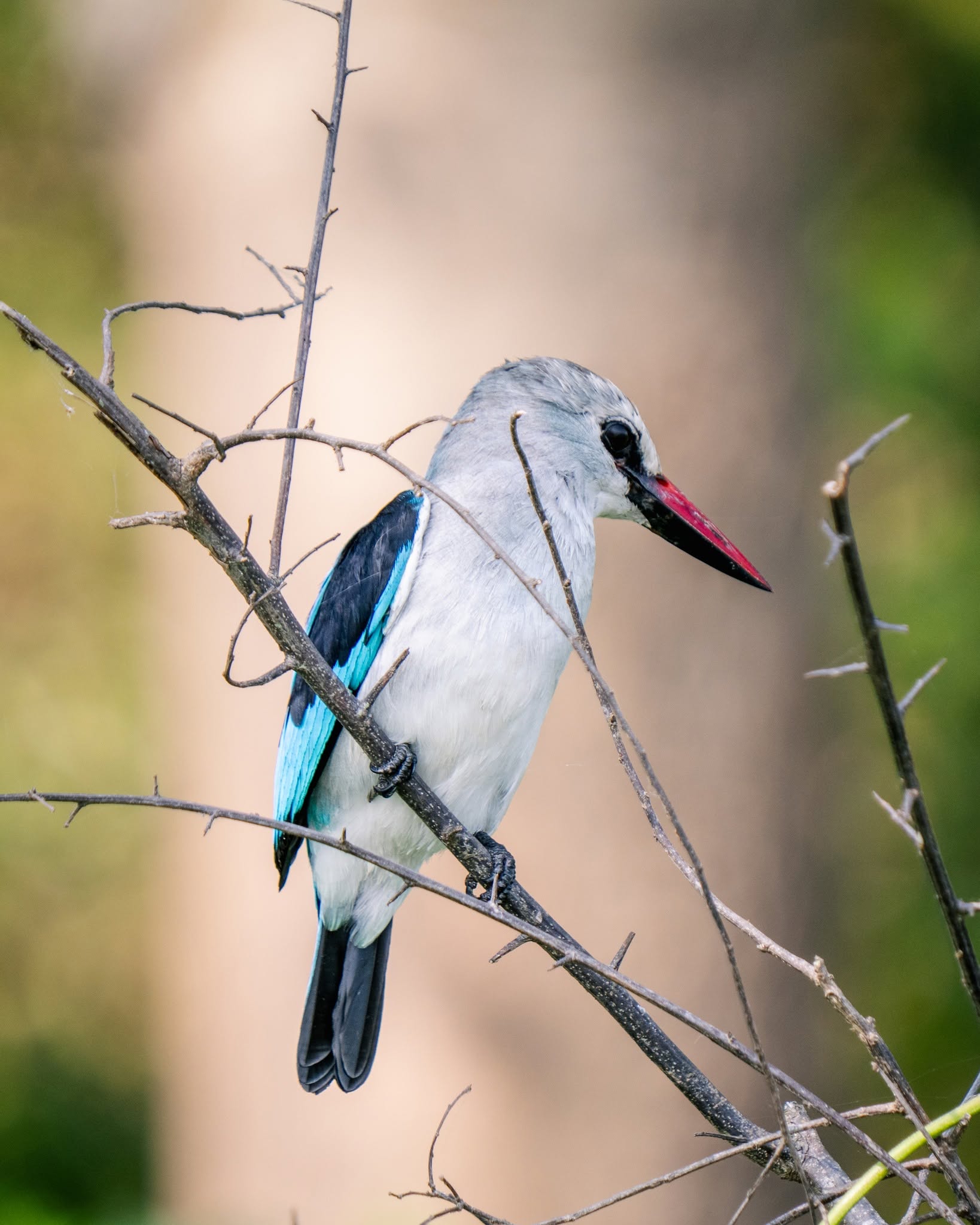 571729451_1396857819106486_5942645874411413256_n